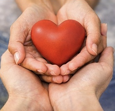Hands holding a red heart